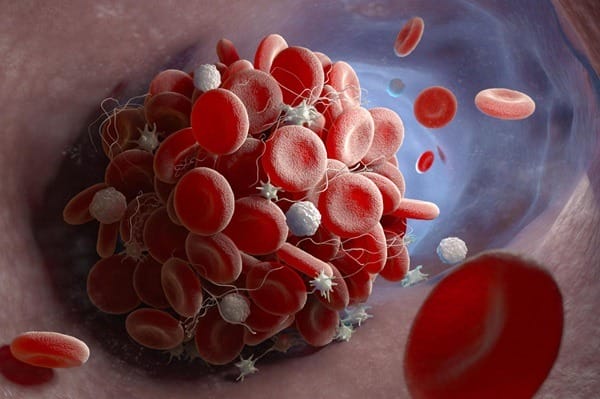 Vascular Clinic